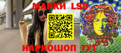 прущие грибы Будённовск