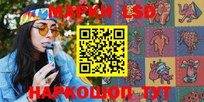 прущие грибы Будённовск
