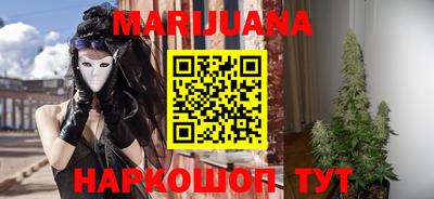 прущие грибы Будённовск