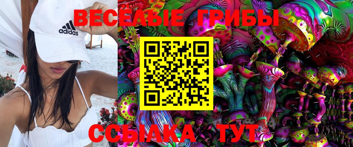 Чайковский  Псилоцибиновые грибы Psilocybine cubensis  Вход с VPN 