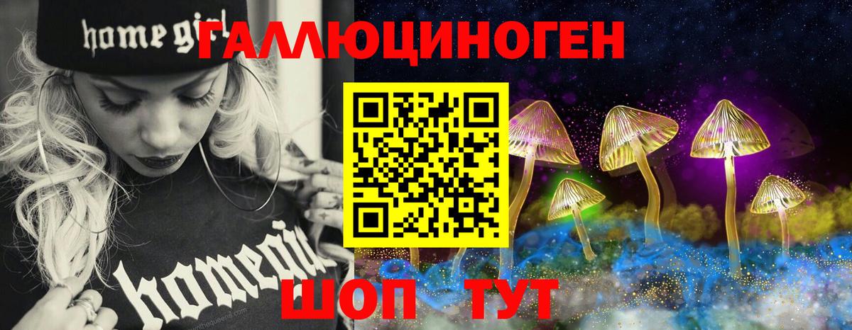 Псилоцибиновые грибы Psilocybe Чайковский